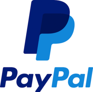 paypal_2014_logo_detail-300x296